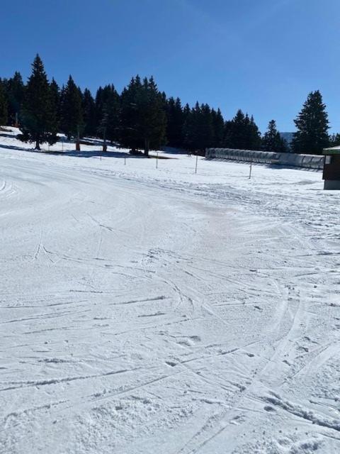 Chamrousse Appart 8 Personnes Au Pied Des Pistes Экстерьер фото